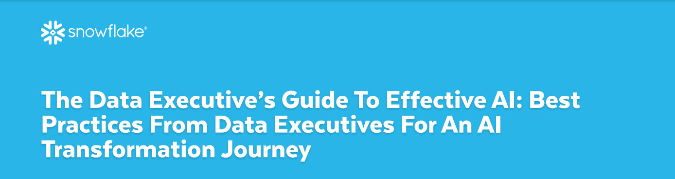 Data Executive’s Guide to Effective AI Webinar