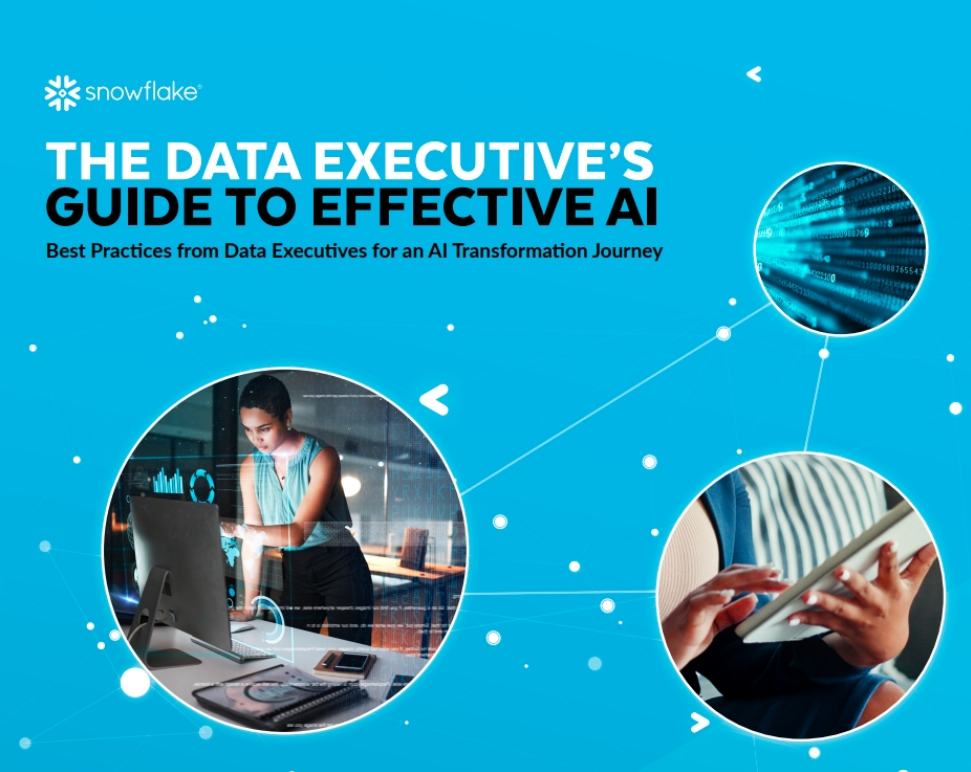 Data Executive's Guide to Effective AI Webinar