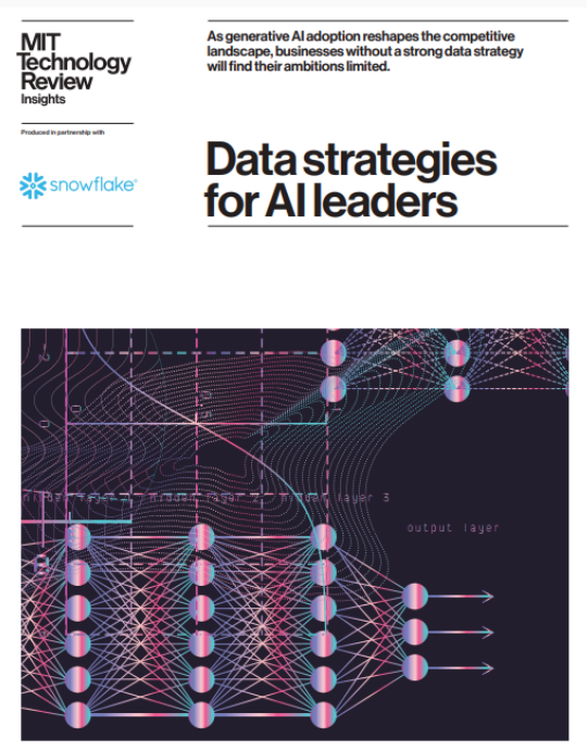 Data Strategies for AI Leaders