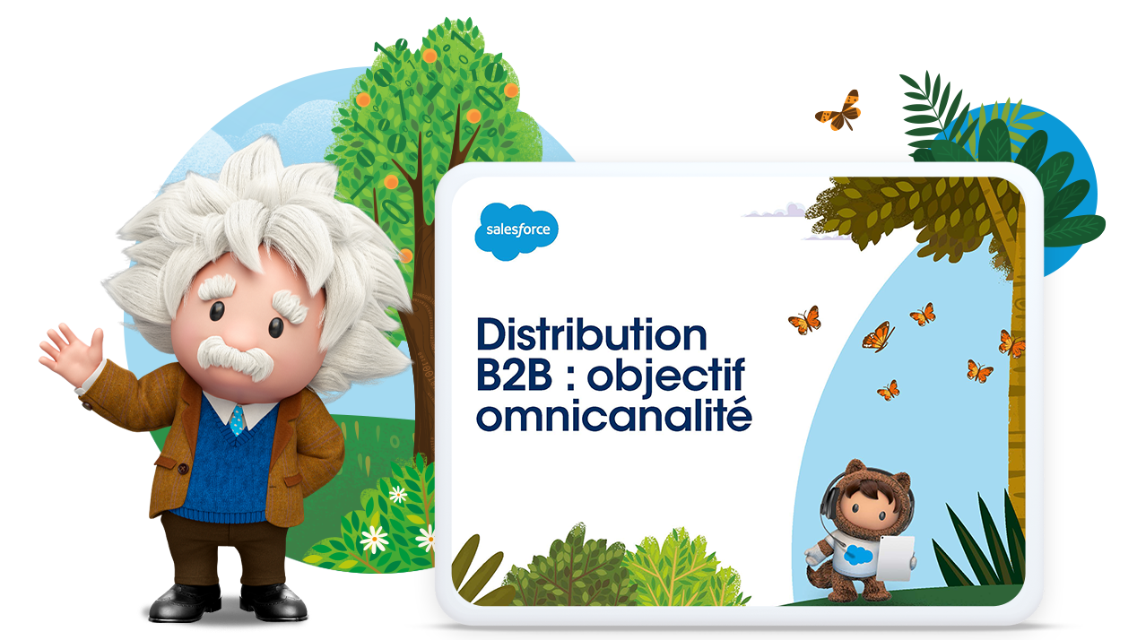 Distribution B2B : objectif omnicanalité