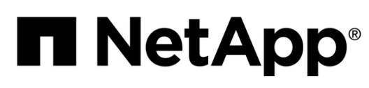 NetApp Logo