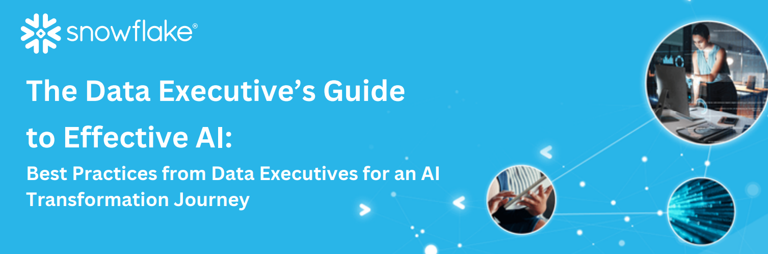 The Data Executive’s Guide to Effective AI: Best Practices from Data Executives for an AI Transformation Journey