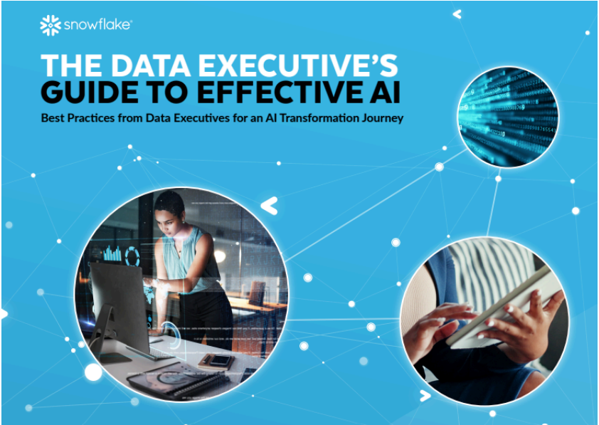 The Data Executive's Guide to Effective AI: Best Practices from Data Executives for an AI Transformation Journey