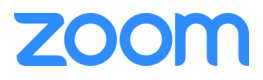Zoom Logo